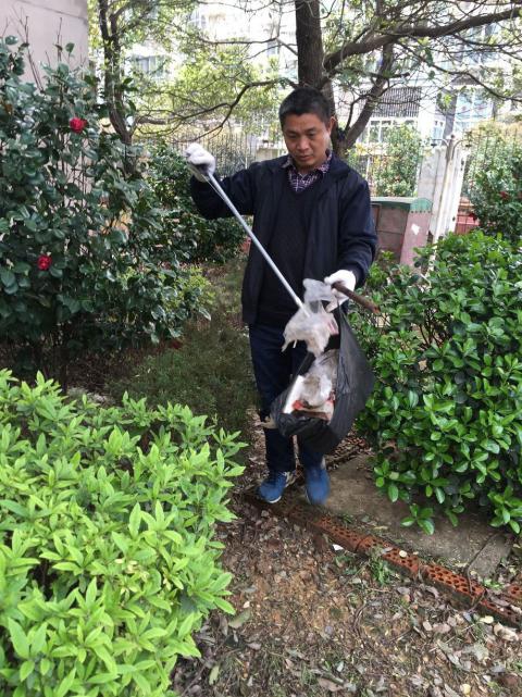 控制鼠害、预防疾病，，，，，，，构建协调文明社区